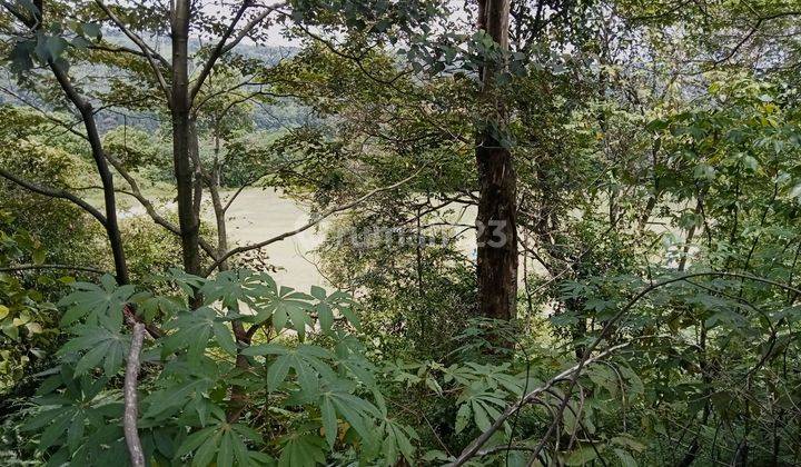 Dijual Kavling View Golf Dan Gunung Di Rainbow Hill Cijayanti Bogor 2