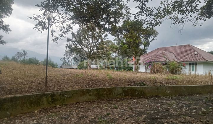 Land for Sale in Pasir Angin, Gagog, Bogor