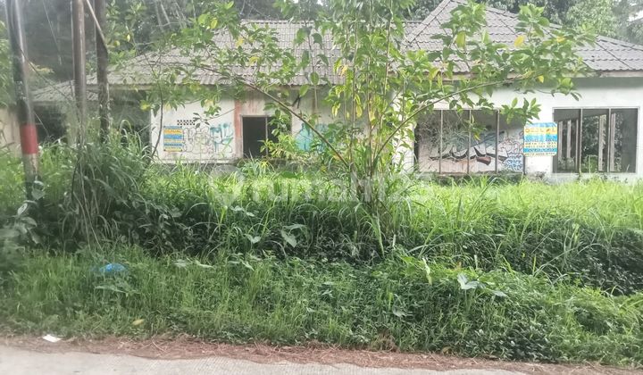 Dijual Tanah Di Megamendung Cocok Buat Vila