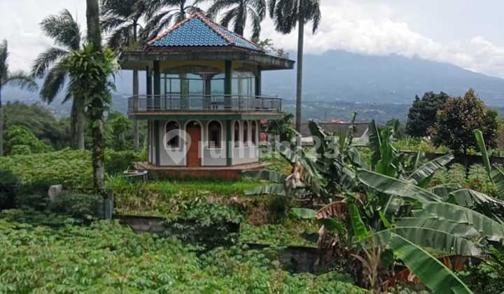 Land for Sale Beat View In Gunung Geulis Bogor