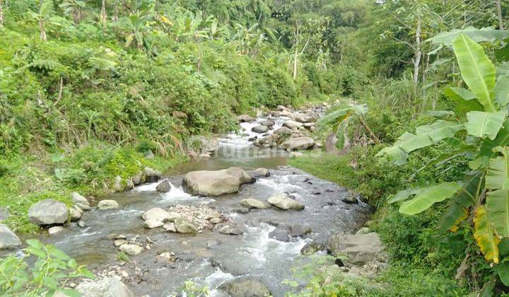 Dijual Tanah Kebun Di Cicurug Sukabumi Cocok Buat Wisata 1