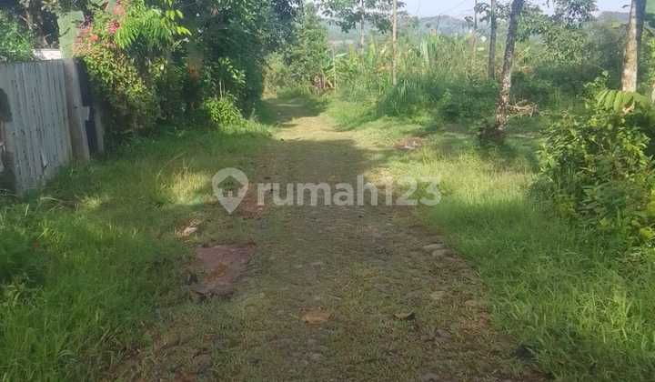 Dijual Tanah di Pabuaran Sukamakmur Bogor