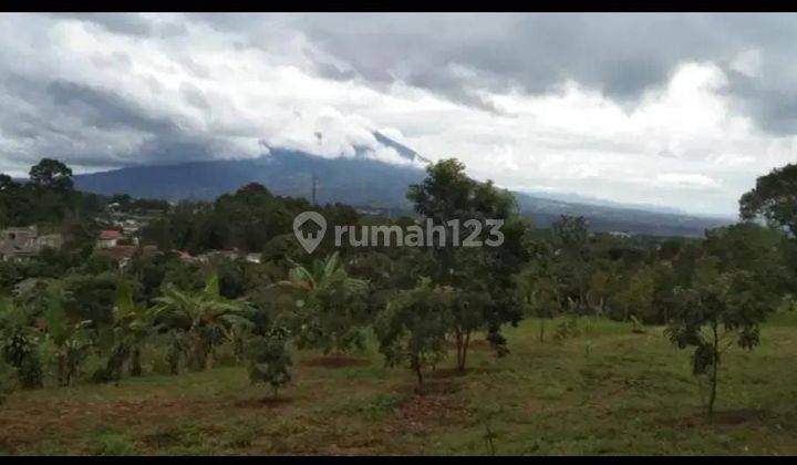 Dijual Tanah Di Pasir Angin Gunung Geulis Bogor 2