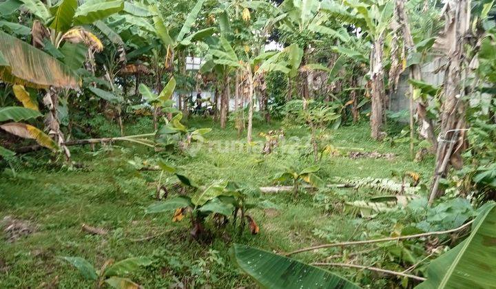 Tanah Dijual Samping Tol Gadog Cocok Buat Vila  2