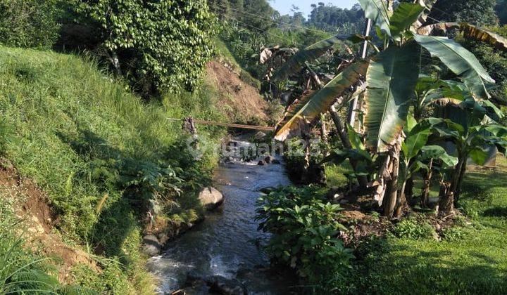 Dijual Tanah Kebun Di Cisarua Puncak Bogor  1