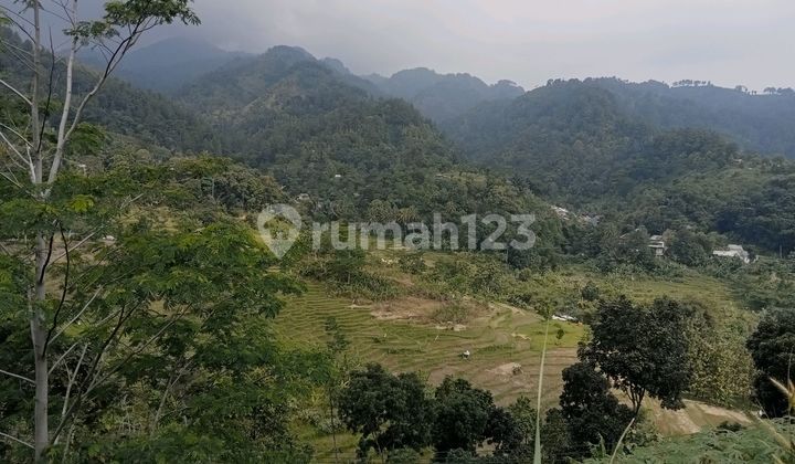 Dijual Tanah Beat View Di Desa Karang Tengah Sentul Bogor