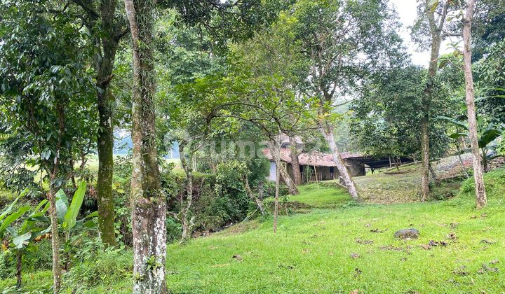 Land for Sale in Gunung Geulis Near Summarecon Bogor