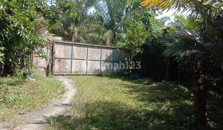 Di Jual Murah Kebun Buah Daerah Brahrang 1