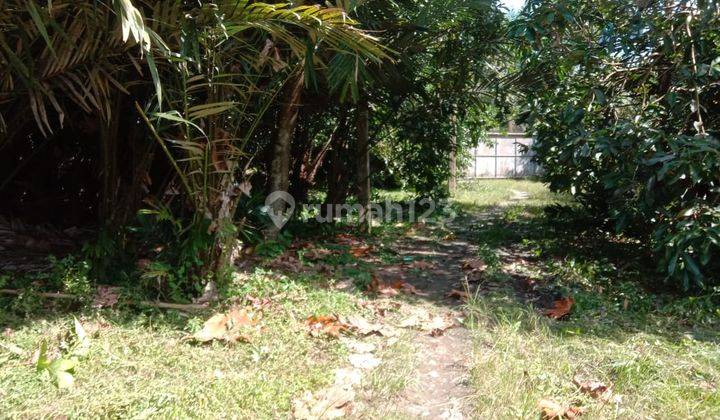 Di Jual Murah Kebun Buah Daerah Brahrang 2