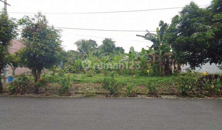 Dijual Villa Murah Mewah Polonia Riverview 2