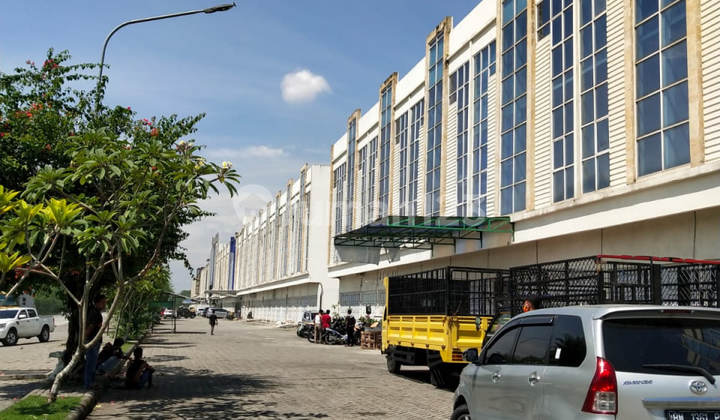 Joint Ruko, Spacious, Suitable for Business Location, Cemara Kuta 2