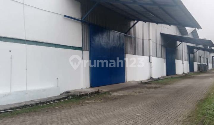 :100:Shared Warehouse for Rent in Cikupa, Tangerang. Contact Ingche. 08777102xxxx