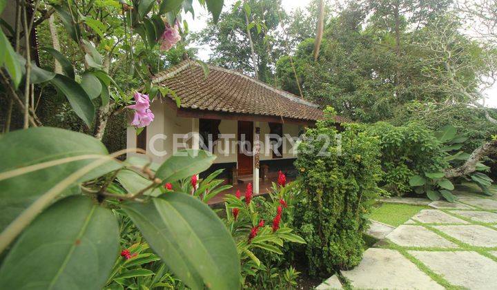 Rumah Villa Dengan Kolam Renang Di Jogja Bagian Utara Lokasi Asri 1