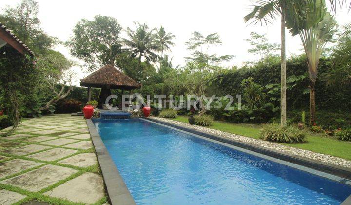 Rumah Villa Dengan Kolam Renang Di Jogja Bagian Utara Lokasi Asri 2