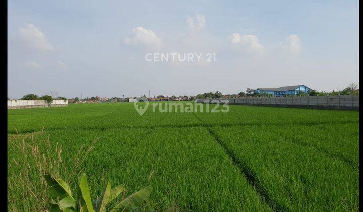 Tanah Komersil Luas Dan Murah Di Karawang Barat Jawa Barat 1