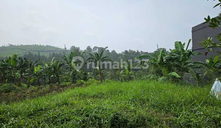 Dijual Tanah Siap Bangun Di Resort Dago Pakar Lokasi Favorit Di Bandung Utara