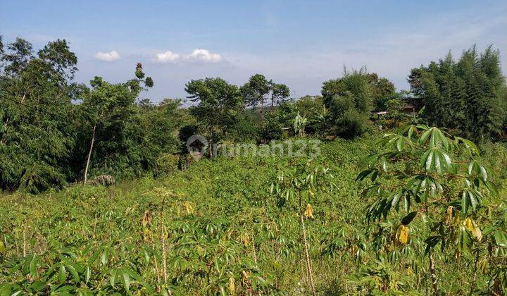 Kavling siap bangun, tanah padat, cocok untuk dibuat cluster, SHM 1