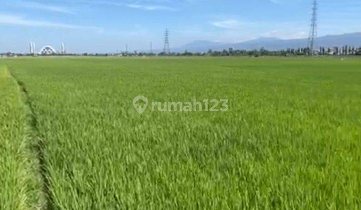 3 Tanah Kavling Dekat Stasiun Kereta Cepat di Cibiru Bandung 1