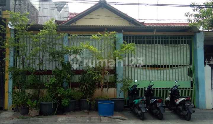 RUMAH 3 LANTAI TLOGOSARI RAYA 2