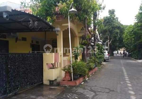 RUMAH NYAMAN DI SAMBIROTO SEMARANG 1
