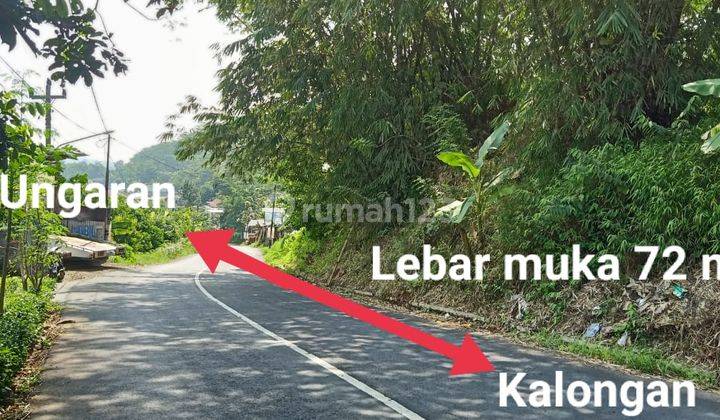 Tanah Dengan Luas 5460m Di Ungaran Timur Cocok Dibangun Perumahan 2