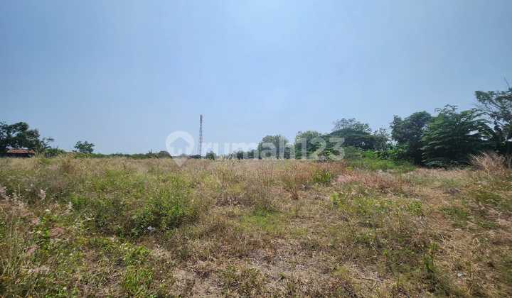 TANAH NGANTONG ZON KUNING DAERAH MRANGGEN