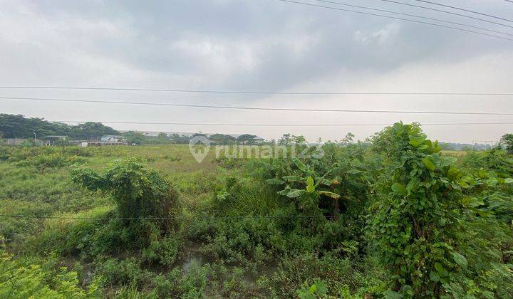 DIJUAL TANAH SAWAH JALAN PANTURA PEKALONGAN 1