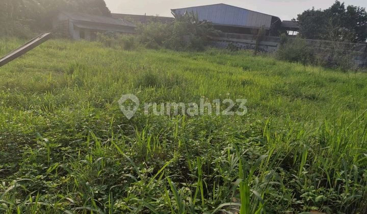 For Rent 2000m Strategic Land In Paramount Petal Curug Bitung For Rent 2000m Strategic Land In Paramount Petal Curug Bitung
