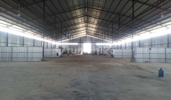 Dijual Cepat Gudang 3000M2 Zona Industri Keramat Watu Kab Serang Siap Pakai Dekat Akses Tol Dijual Cepat Gudang 3000M2 Zona Industri Keramat Watu Kab Serang Siap Pakai Dekat Akses Tol