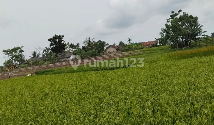 Land for Sale in Serang Cikande Location