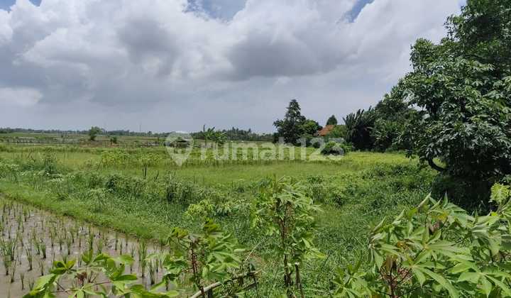Dijual Tanah Darat 8 Ha Sepatan Tangerang Cocok untuk Investasi Jangka Panjang