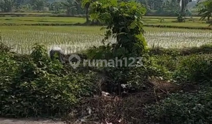 Dijual Lahan Industri Balaraja 5 Ha Akses 40 Ft 3,2 KM Tol Balaraja Barat Dijual Lahan Industri Balaraja 5 Ha Akses 40 Ft 3,2 KM Tol Balaraja Barat