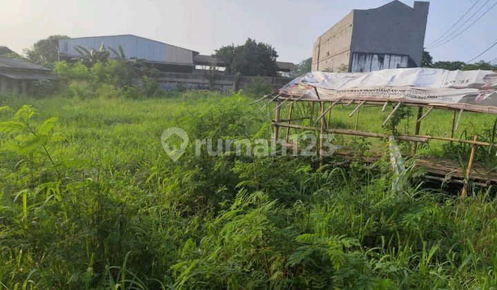 For Rent 2000m Strategic Land In Paramount Petal Curug Bitung For Rent 2000m Strategic Land In Paramount Petal Curug Bitung