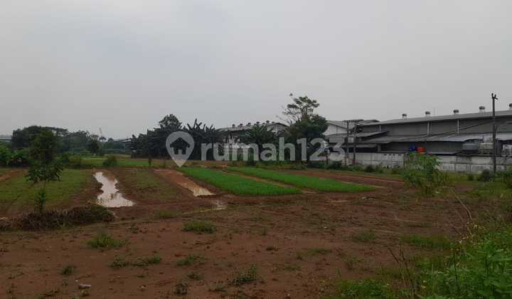 Jual Tanah Industri Cibadak Cikupa 5 Ha Zona Industri 2 KM Tol Balaraja Timur Jual Tanah Industri Cibadak Cikupa 5 Ha Zona Industri 2 KM Tol Balaraja Timur