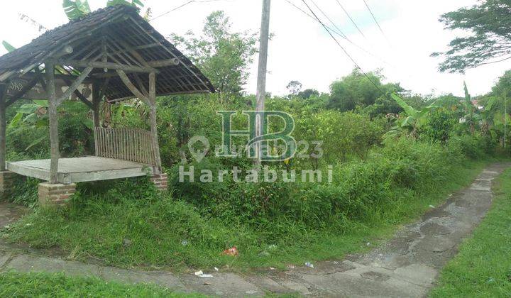 Dijual Tanah 1 Menit Sdn 2 Tulungrejo Tulungagung Legalitas SHM 4