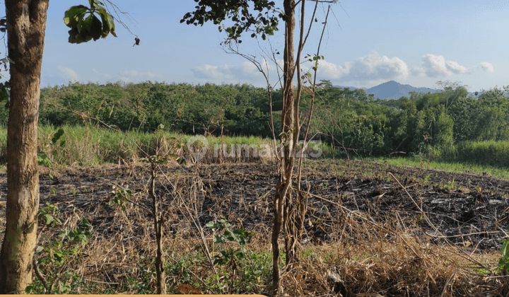 Rumah Strategis 2 Menit Brond Waterpark Tulungagung SHM 5