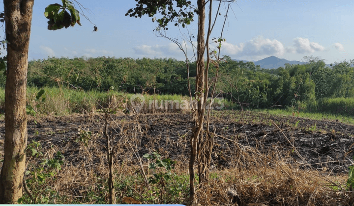 Rumah Strategis 2 Menit Brond Waterpark Tulungagung SHM 6