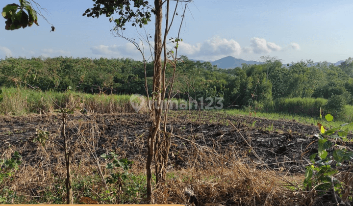Rumah Strategis 2 Menit Brond Waterpark Tulungagung SHM 7