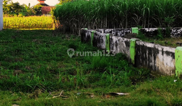 Tanah Strategis Dekat Uin Satu Tulungagung Legalitas SHM 2