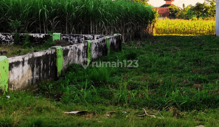 Tanah Strategis Dekat Uin Satu Tulungagung Legalitas SHM 4