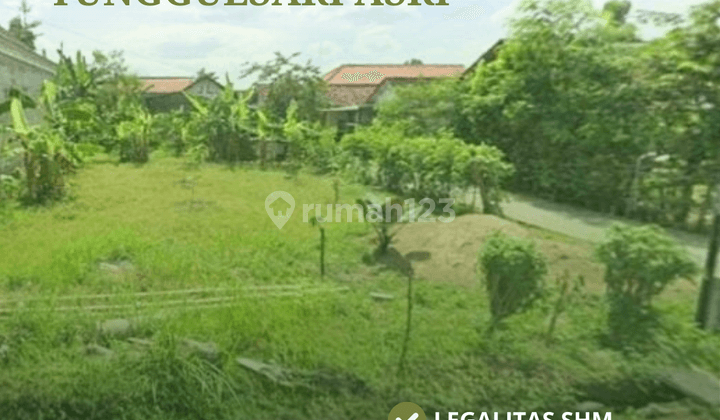 Tanah Dijual Dekat Kampus Uin Satu Tulungagung SHM 1