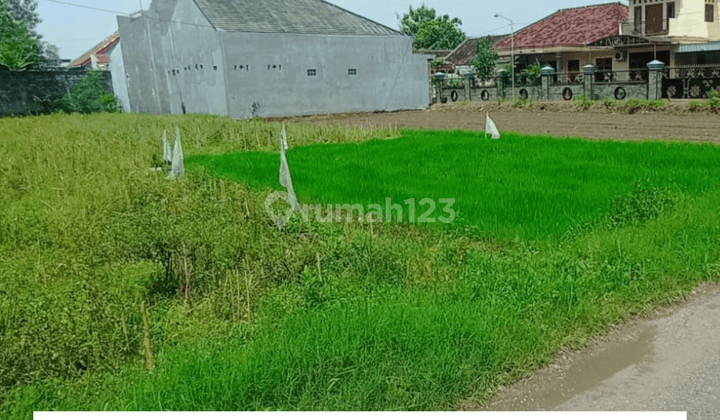 Tanah Kediri Dekat Pengadilan Agama Kab Kediri 2 Jt an m2  1