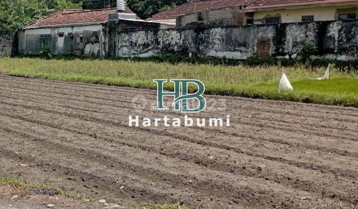 Dijual Tanah Kediri 2 Juta an m Dekat Pengadilan Agama Kab Kediri  1