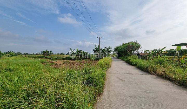 Tanah 140 Hektar Hook Pinggir Jalan Raya Kawasan Industri Cikande Serang Banten  2