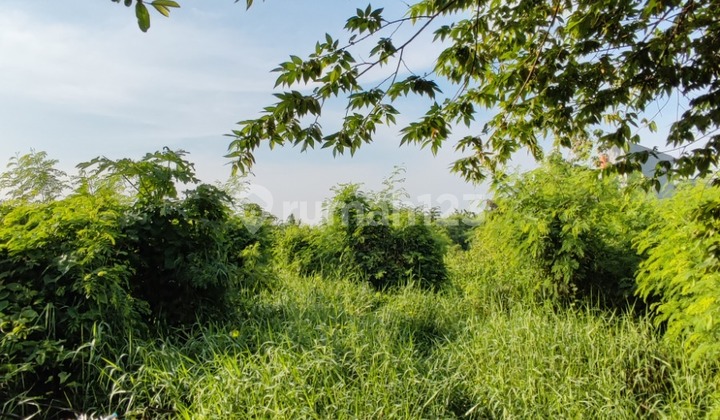 Tanah SHM Lokasi Strategis di Ketajen, Gedangan Sidoarjo