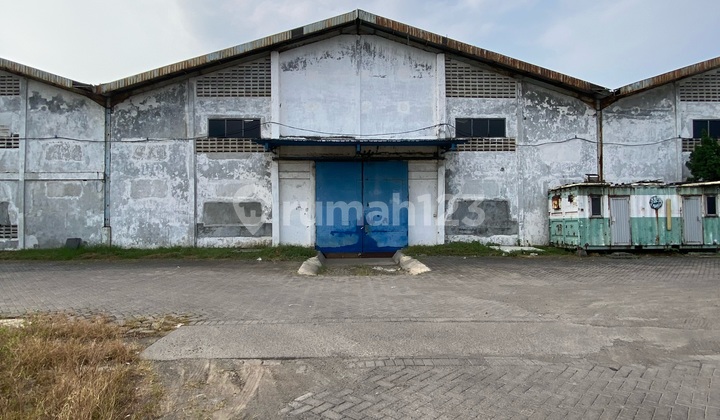 5 Units Warehouse in a Row at Carat Gempol Pasuruan Near Toll Access 5 Units Warehouse in a Row at Carat Gempol Pasuruan Near Toll Access