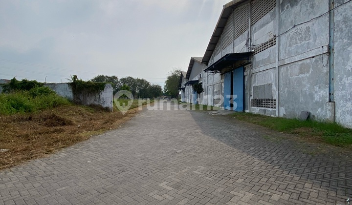 5 Units Warehouse in a Row at Carat Gempol Pasuruan Near Toll Access 5 Units Warehouse in a Row at Carat Gempol Pasuruan Near Toll Access