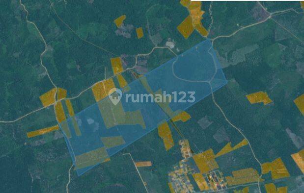 Dijual Tanah 100 Ha Dekat Sutet di Babulu Darat, Penajam Paser Utara 2