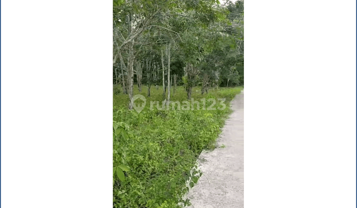 Dijual Tanah Di Lamaru  1