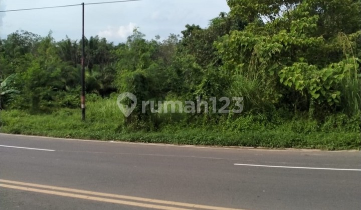 For Sale Fast Land in Grogot - Hm